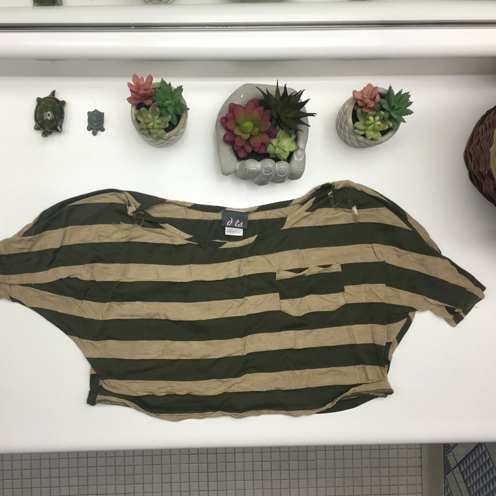 Striped Crop Short Sleeve Crop Top